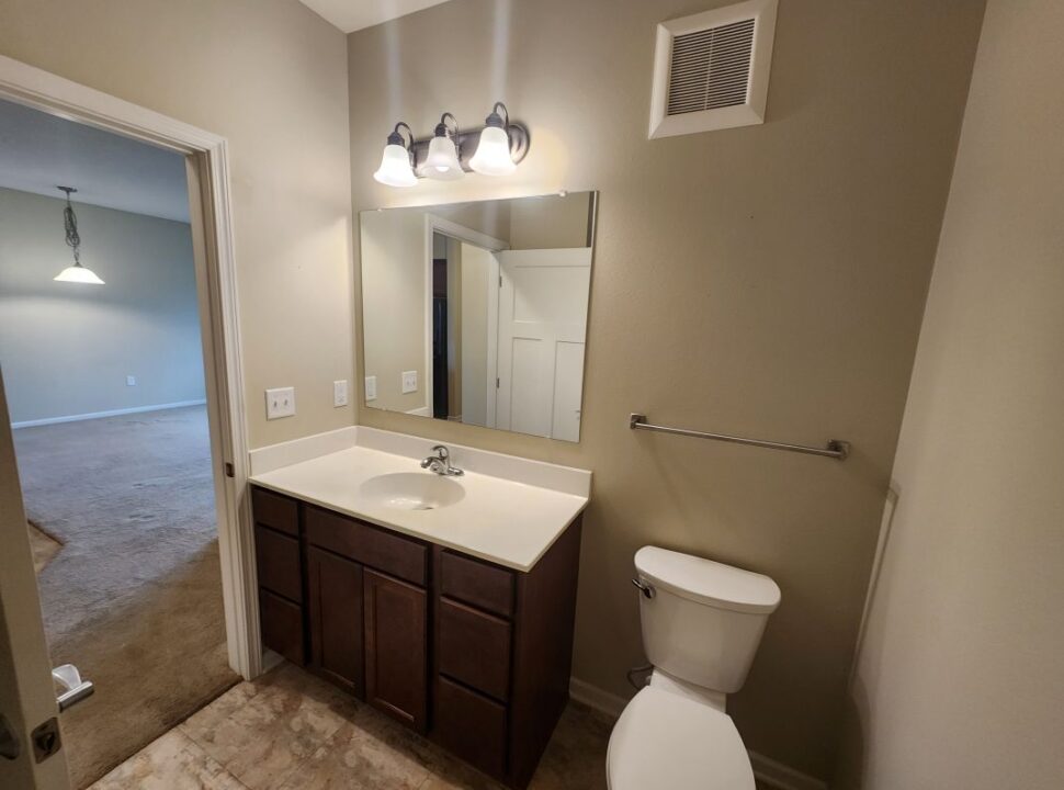 Guest Bathroom Vanity and Toilette